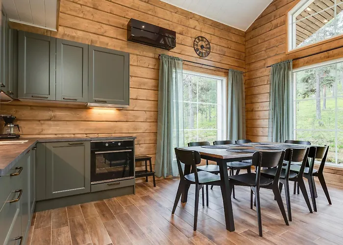 Levin Karpaasi Visit *