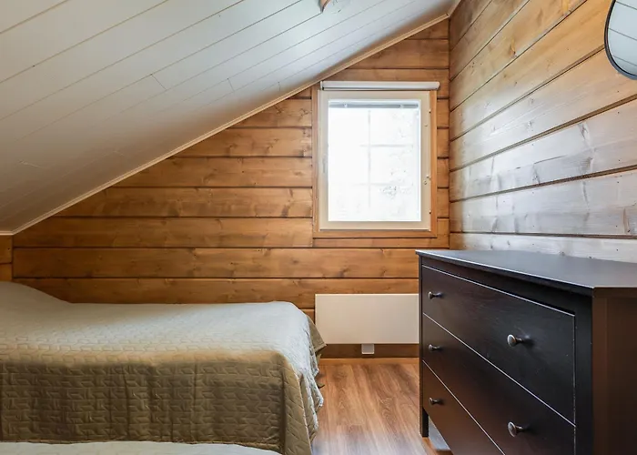 Levin Karpaasi Visit *