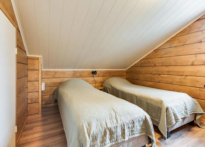 Levin Karpaasi Visit *